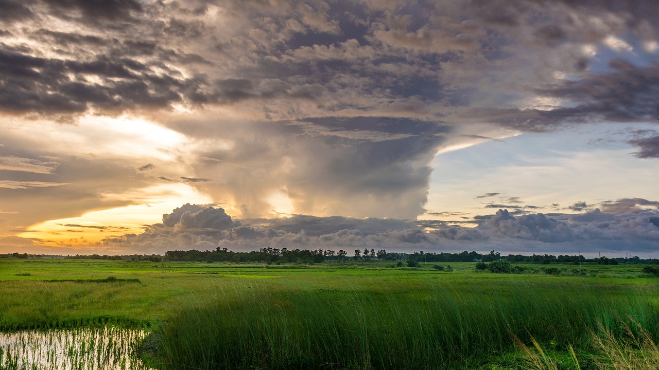 field, rural, sunset, hurricanes